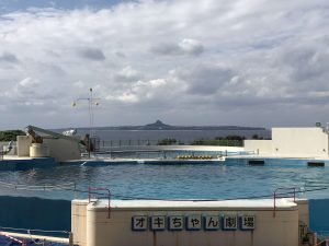 Okinawa171124 - (4) Churaumi Aquarium - 259