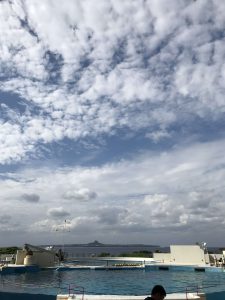 Okinawa171124 - (4) Churaumi Aquarium - 262