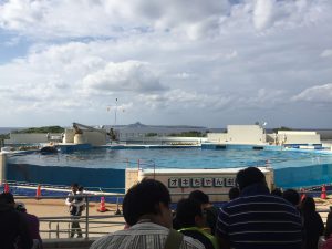 Okinawa171124 - (4) Churaumi Aquarium - 263