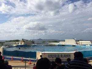 Okinawa171124 - (4) Churaumi Aquarium - 264