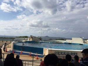 Okinawa171124 - (4) Churaumi Aquarium - 265