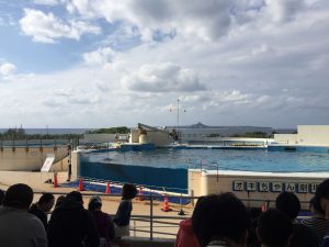 Okinawa171124 - (4) Churaumi Aquarium - 266