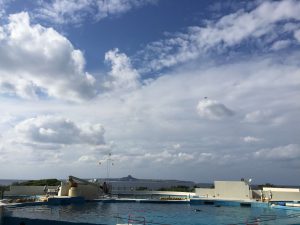 Okinawa171124 - (4) Churaumi Aquarium - 267