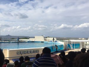 Okinawa171124 - (4) Churaumi Aquarium - 268