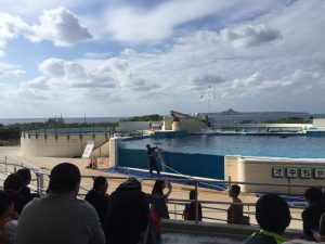 Okinawa171124 - (4) Churaumi Aquarium - 269