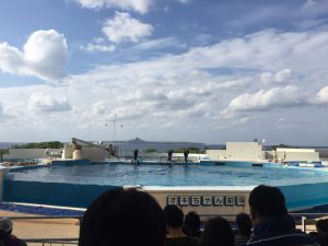 Okinawa171124 - (4) Churaumi Aquarium - 278