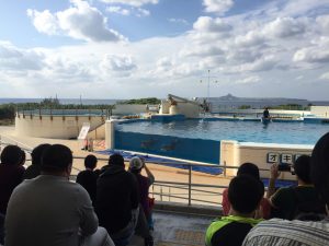 Okinawa171124 - (4) Churaumi Aquarium - 283