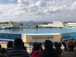 Okinawa171124 - (4) Churaumi Aquarium - 287