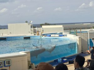 Okinawa171124 - (4) Churaumi Aquarium - 291
