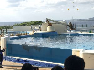 Okinawa171124 - (4) Churaumi Aquarium - 294
