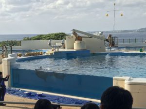 Okinawa171124 - (4) Churaumi Aquarium - 295