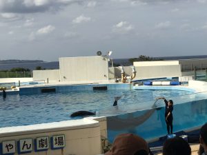 Okinawa171124 - (4) Churaumi Aquarium - 297