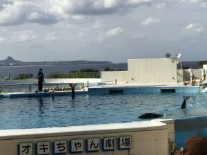 Okinawa171124 - (4) Churaumi Aquarium - 298