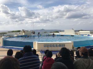 Okinawa171124 - (4) Churaumi Aquarium - 300