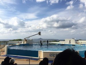 Okinawa171124 - (4) Churaumi Aquarium - 302