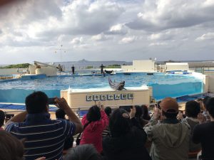 Okinawa171124 - (4) Churaumi Aquarium - 310