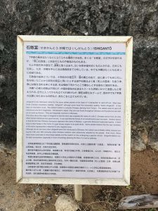 Okinawa171124 - (4) Churaumi Aquarium - 319