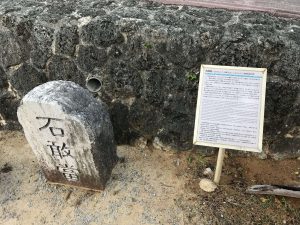 Okinawa171124 - (4) Churaumi Aquarium - 320