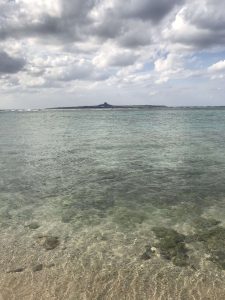Okinawa171124 - (4) Churaumi Aquarium - 324
