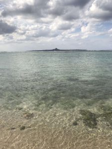 Okinawa171124 - (4) Churaumi Aquarium - 326