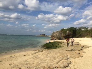 Okinawa171124 - (4) Churaumi Aquarium - 350