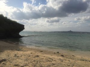 Okinawa171124 - (4) Churaumi Aquarium - 355