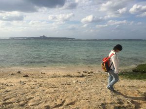 Okinawa171124 - (4) Churaumi Aquarium - 356