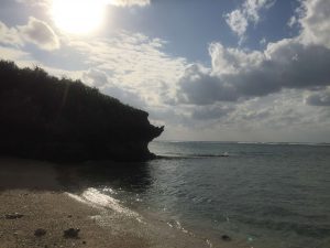 Okinawa171124 - (4) Churaumi Aquarium - 357