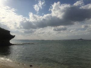 Okinawa171124 - (4) Churaumi Aquarium - 358