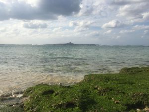 Okinawa171124 - (4) Churaumi Aquarium - 361