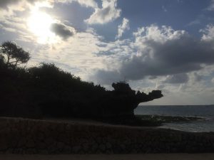Okinawa171124 - (4) Churaumi Aquarium - 366
