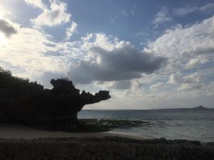 Okinawa171124 - (4) Churaumi Aquarium - 367