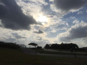 Okinawa171124 - (4) Churaumi Aquarium - 374