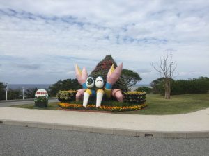 Okinawa171124 - (4) Churaumi Aquarium - 6