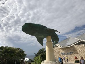 Okinawa171124 - (4) Churaumi Aquarium - 8