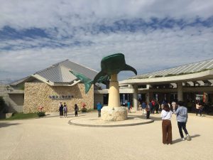Okinawa171124 - (4) Churaumi Aquarium - 9