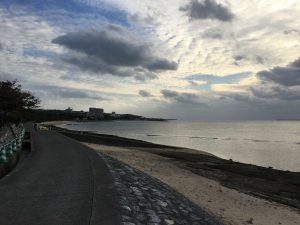 Okinawa171124 - (5) Bise-Fukugi - 11
