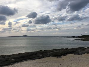 Okinawa171124 - (5) Bise-Fukugi - 13