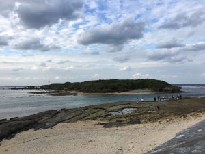 Okinawa171124 - (5) Bise-Fukugi - 16