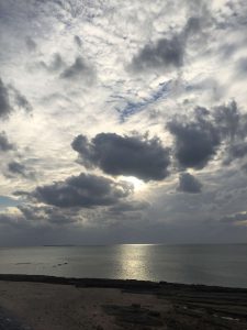 Okinawa171124 - (5) Bise-Fukugi - 3