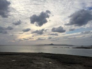 Okinawa171124 - (5) Bise-Fukugi - 42