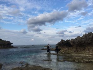 Okinawa171124 - (5) Bise-Fukugi - 44