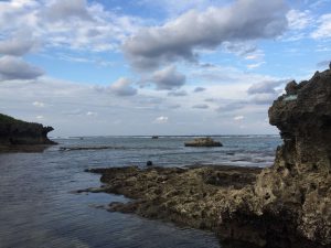 Okinawa171124 - (5) Bise-Fukugi - 46