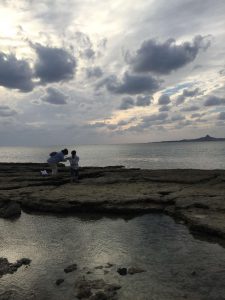 Okinawa171124 - (5) Bise-Fukugi - 6