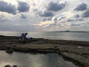 Okinawa171124 - (5) Bise-Fukugi - 7