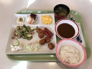 Okinawa171125 - (1) Resort Hotel Buena Vista Nakijin - 11