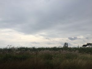 Okinawa171125 - (2) Way to Kouri Ocean Tower - 1