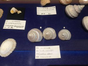 Okinawa171125 - (3) Kouri Ocean Tower - 27