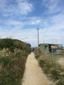 Okinawa171125 - (5) Heart Rock of Kouri - 1