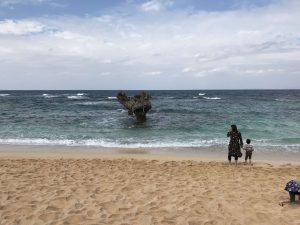 Okinawa171125 - (5) Heart Rock of Kouri - 14